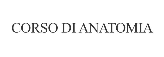 Corso di Anatomia